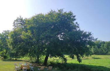 Appartamento Il Picchio Verde - Foto 29