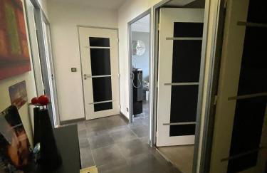 « Le lumineux » proche tramway/centre Montpellier - Photo 17