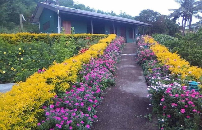 Dreamview Villas - In Rakiraki - Photo 24