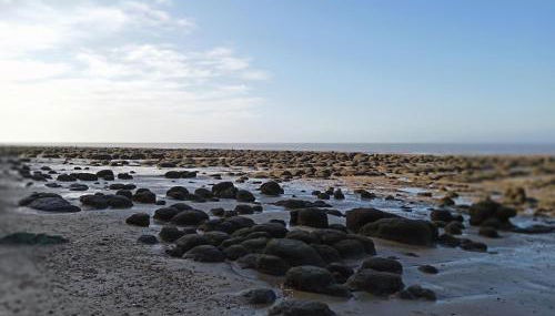 Caravan - Sleeps 8 - Pets Ok - Parking - Foto 2