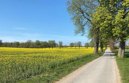 Gut Koselau Landhaus III - Foto 23