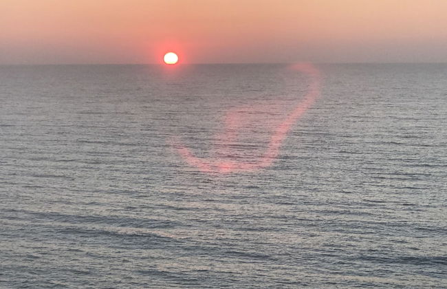 Estate Salento - Foto 59