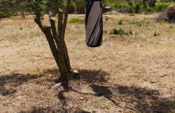 Spacious Villa in Palmela with Private Pool and Garden - Foto 46