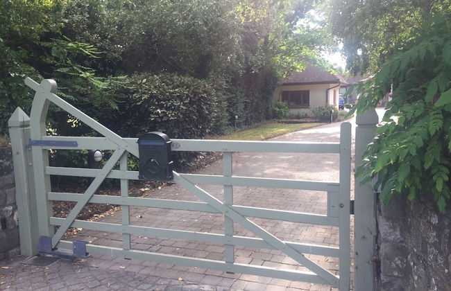 The Lodge - Photo 25