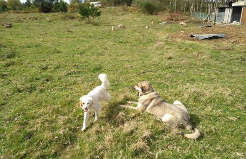 Caserio de Fontes - Foto 51