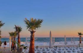 Le rivage - Photo 24