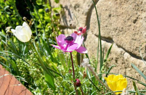 Casa Valeriana - Foto 6