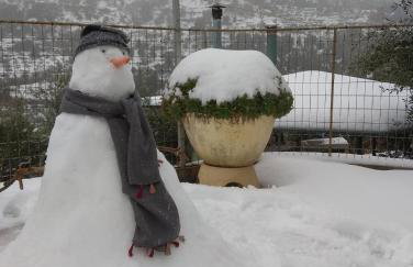 Karel house - Foto 40