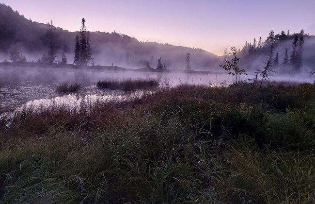 Nice Accommodation at the Grand Héron - Foto 11