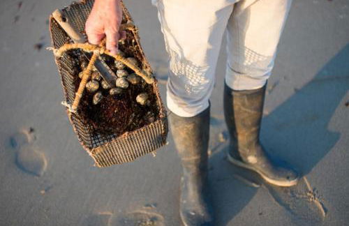 Maison Bord de mer à Noirmoutier - Photo 30