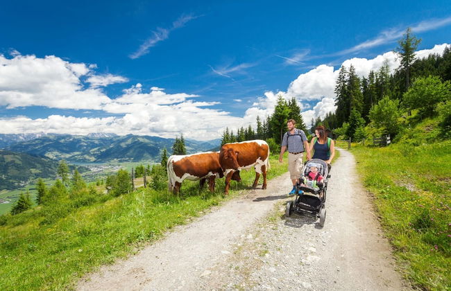 Budget Chalet Alpine - Apartment A - Foto 14