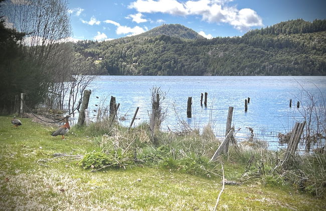 Amazing Cabin on the Shore of Lake Moreno H58 by Apartments Bariloche - Photo 53