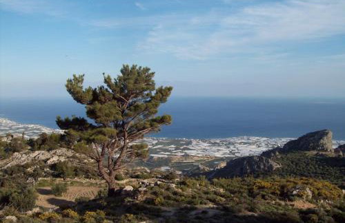 Diktynna Traditional Villas - Photo 18