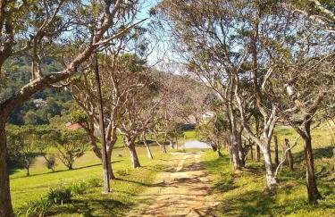 Celeiro Verde - Foto 13