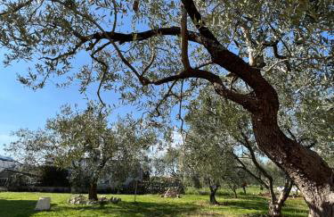 Apartments Tino & Leon - Foto 40