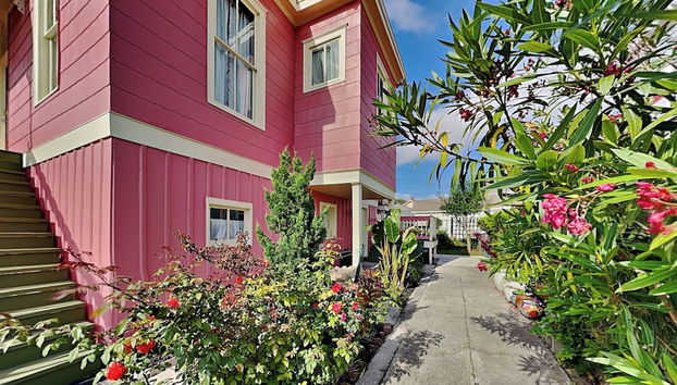 Sea Turtle Cove by Ryson Vacation Rentals - Foto 2, Ausstattung der Unterkunft