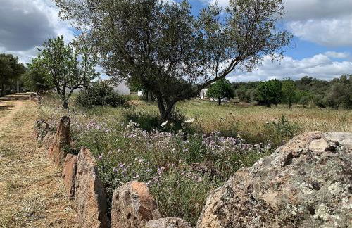 LA CROISETTE Agriturismo - Farmhouse - Foto 11