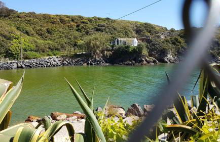 Chalé da Baía - Foto 10