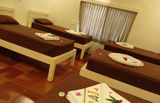 Bamboo Nest - Foto 10