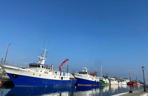 Lupicante 56 Cesenatico - Foto 73