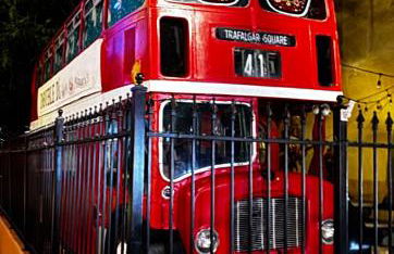 Tiny House Rental in Asheville, NC - The Bat Shack - Foto 4