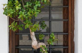 AmalfiRa Luxury Seaview Rooftop - Photo 64