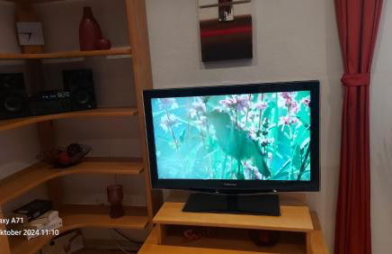 Ferienwohnung Zum Weinberg bis 4 Personen - Im Herzen der Pfalz - Foto 7