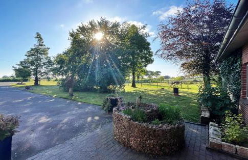 Ferienhof Reimers - Foto 6