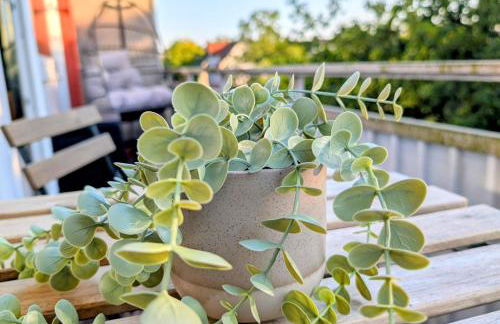 Uhlpartment - im Herzen von Munster - Foto 16