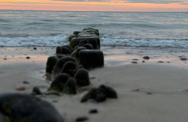 Domki GAMA - Photo 42