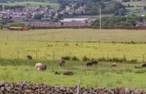 The Herdsman Luxury Shepherds Hut - Foto 40