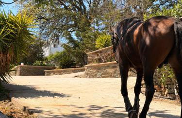 Getaway andros - Photo 10