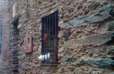 Caserío de Ovejuela - Foto 13