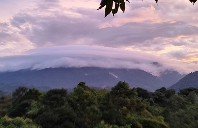 Rio Celeste Nature View - Foto 66