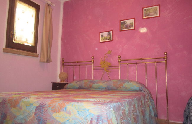 Agriturismo le Spighe - Fattoria Bertaccini - Foto 8