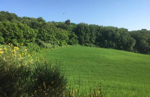 Tuscany Nature Relax - Photo 22