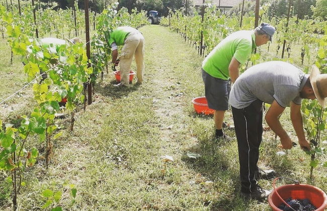 Agriturismo Scacciapensieri - Foto 21