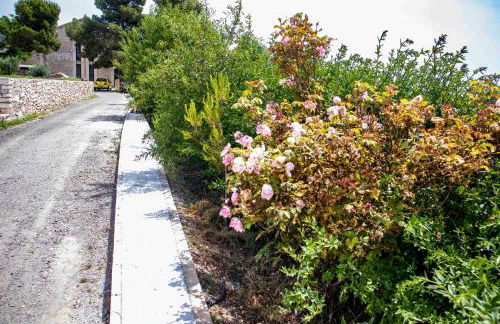 Caserío Lo Bulle - Foto 70