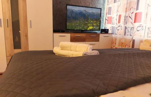 Fewo Eisvogelnest - Foto 16