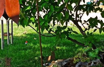 Alb-Biosphäre-Ferienwohnung - Foto 36