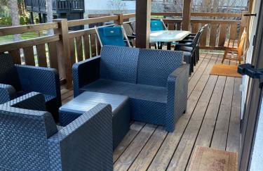 Le pic-vert - Foto 3