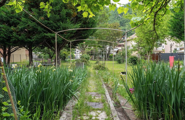 Alexandra Apartments - Foto 22