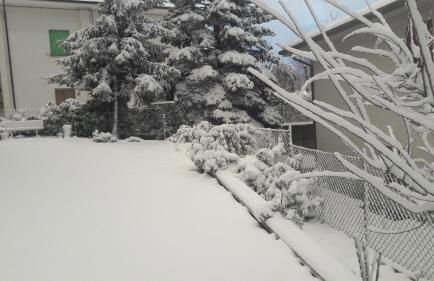 La gazza allegra - Foto 5