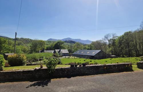 Y Fedw Wen - Foto 10