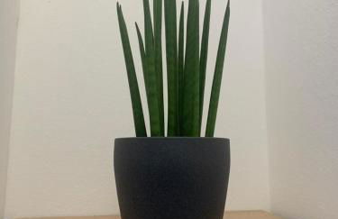 Nibu Appartamenti - Appartamento centrale comodo a tutto, anche a Villa Chiara - Foto 33