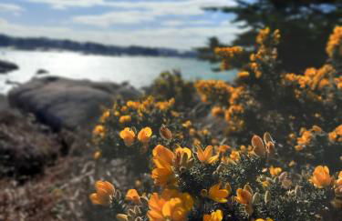 appartement vue mer 50m de la plage, WIFI gratuit - Foto 17