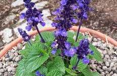 La piazzetta di Gra e Baldo - Foto 26