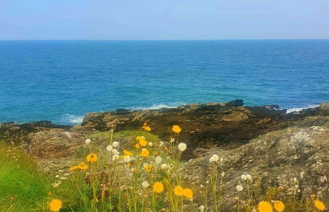 Lligwy House - Charming 3-bed House in Holyhead - Photo 25