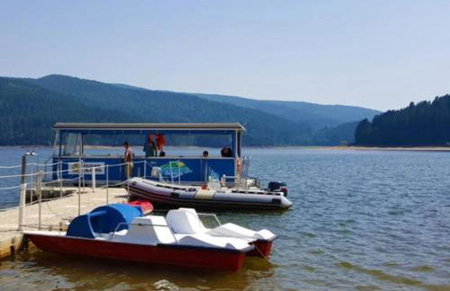 Sweet Lorica - Foto 2