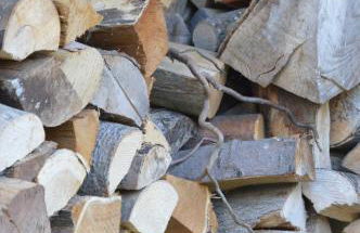 Ferienhaus Eifel - Photo 36